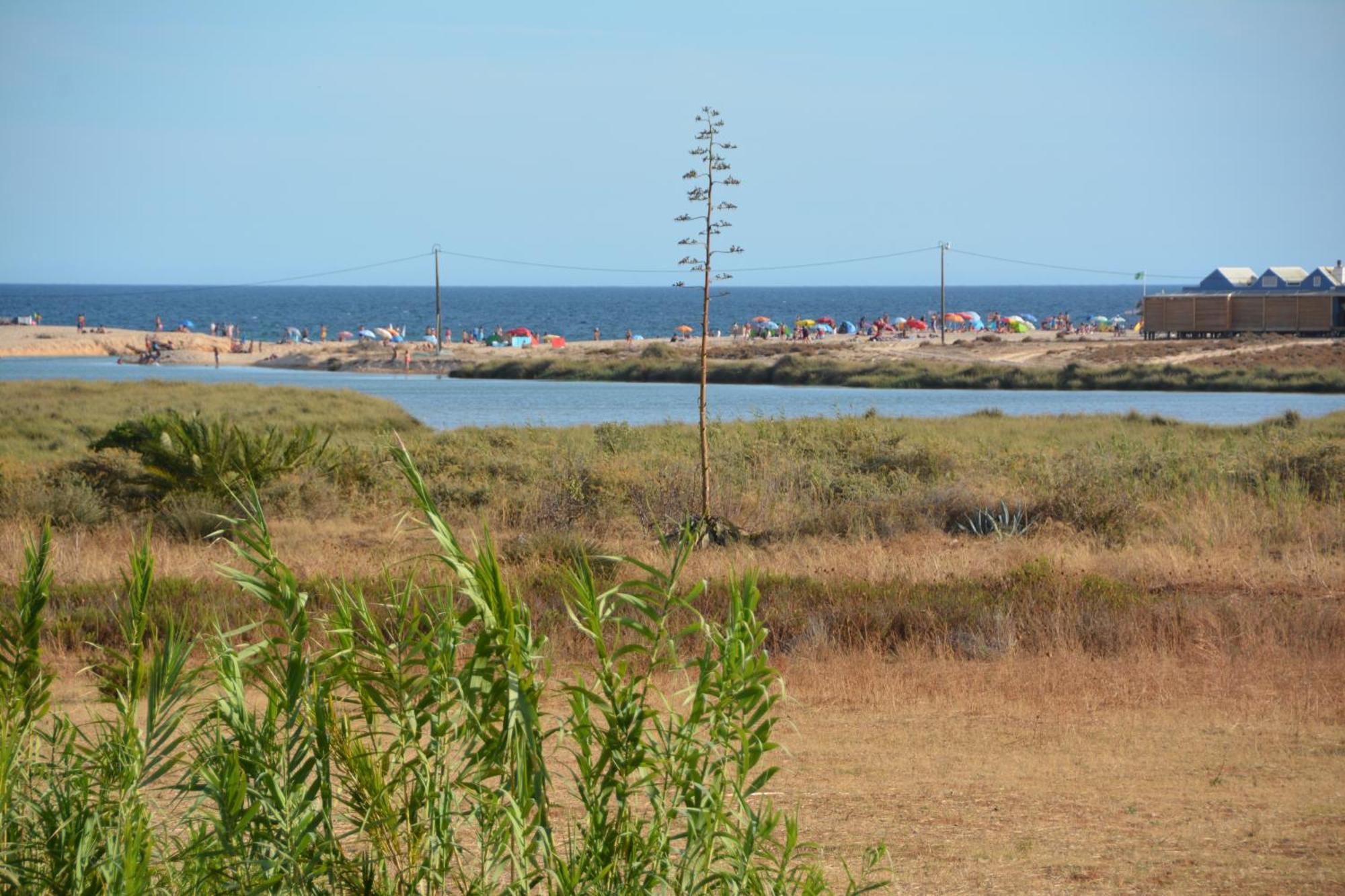 Praia Dria Armação de Pêra Εξωτερικό φωτογραφία